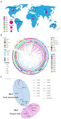 Genetic characterization and evolution of H6N6 subtype avian influenza viruses